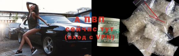 твердый Дмитриев