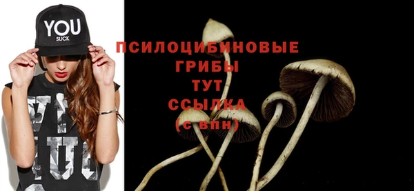 твердый Дмитриев