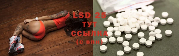 герыч Дмитров