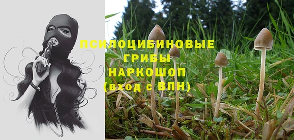 твердый Дмитриев
