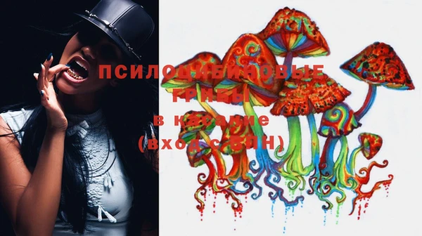твердый Дмитриев