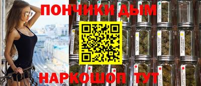 СК Дубна