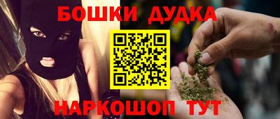 СК Дубна