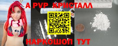 СК Дубна