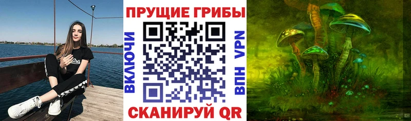 где можно купить наркотик  это клад  Галлюциногенные грибы мицелий  Сланцы 