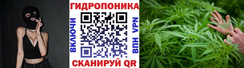 МАРИХУАНА White Widow  Сланцы 